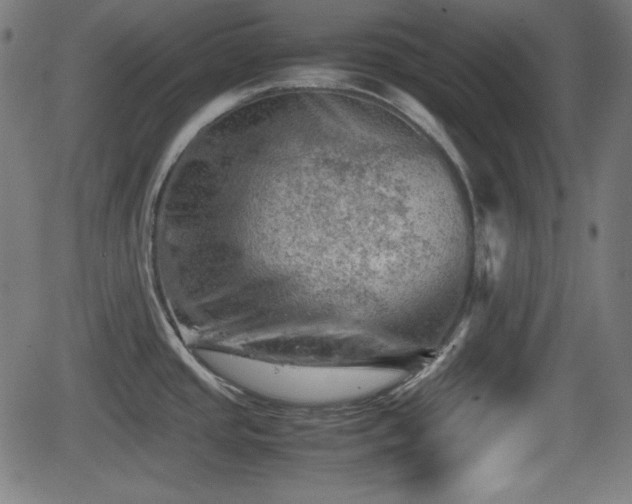 X0000062131437200512161140