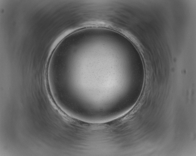 X0000062131440200512161140