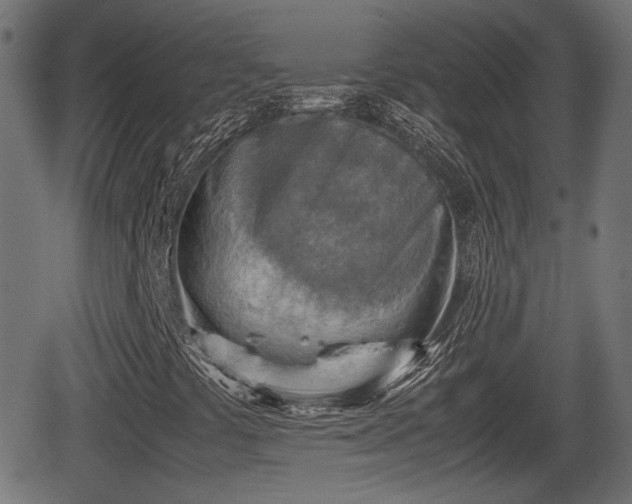 X0000062131441200512161140