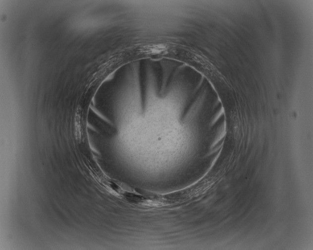 X0000062131442200512161140