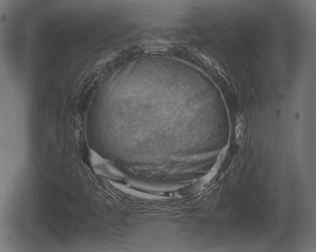 X0000062131445200512161140