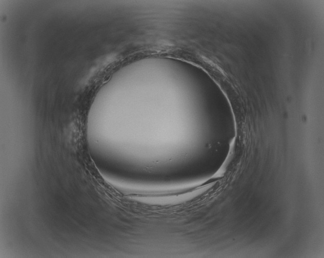 X0000062131447200512161140