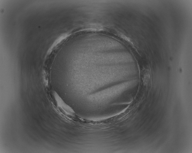 X0000062131448200512161140