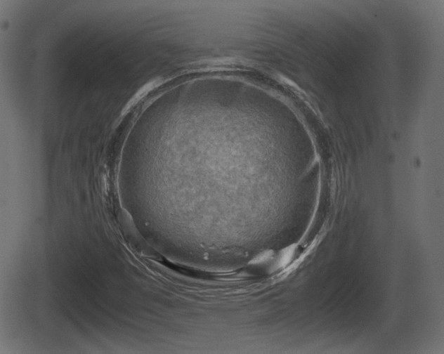 X0000062131449200512161139