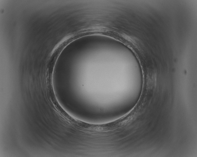 X0000062131450200512161139