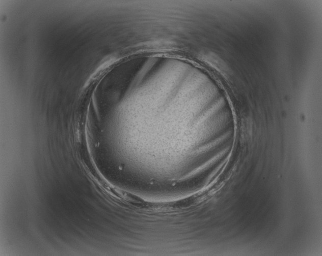 X0000062131451200512161139