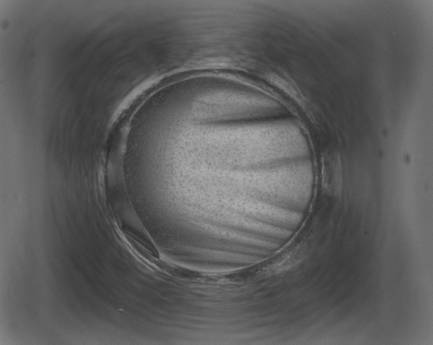 X0000062131452200512161139