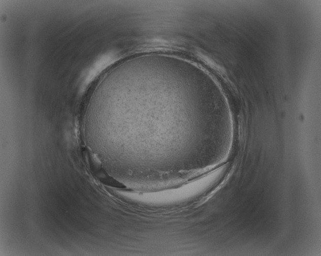 X0000062131453200512161139