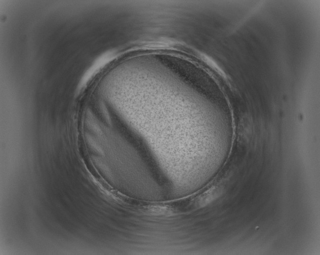 X0000062131456200512161139