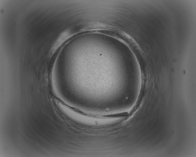 X0000062131457200512161139