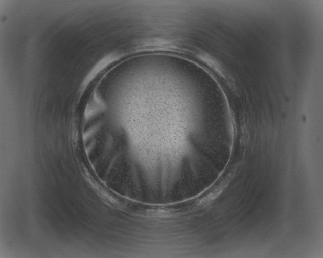 X0000062131458200512161139