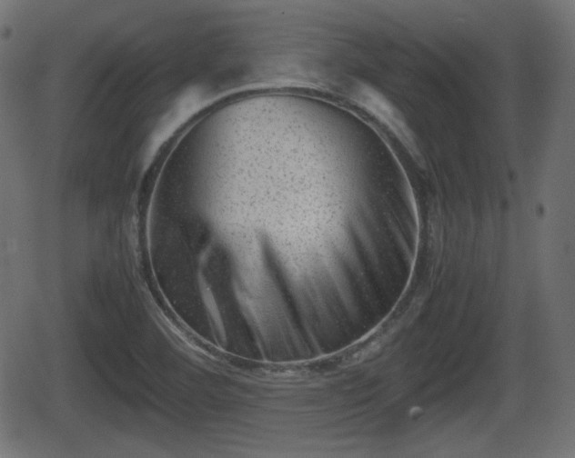 X0000062131460200512161139