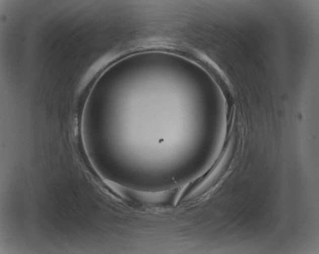 X0000062131461200512161139