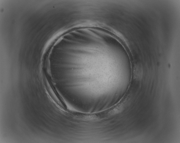 X0000062131464200512161139