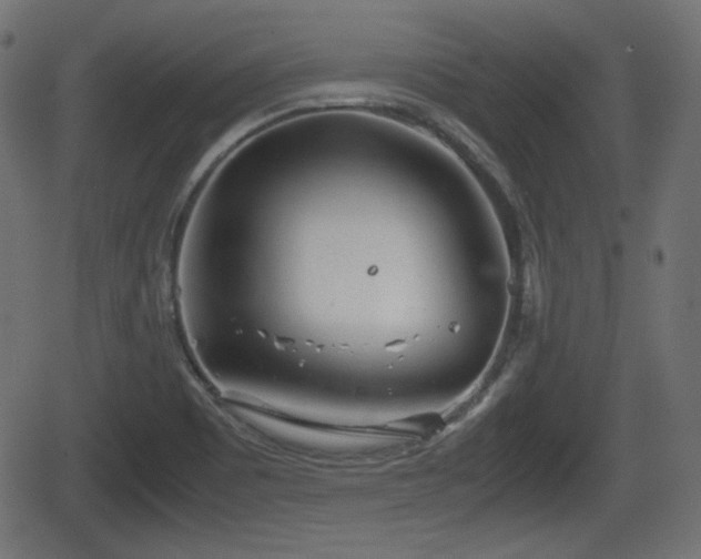 X0000062131465200512161139