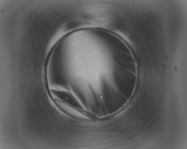 X0000062131468200512161139