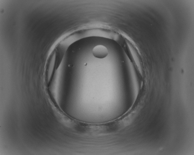 X0000062131469200512161139