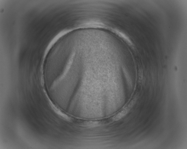 X0000062131470200512161139