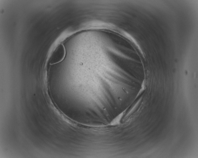 X0000062131472200512161139