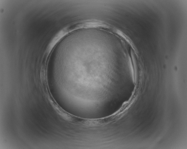 X0000062131473200512161139