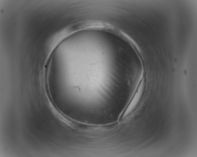 X0000062131475200512161139