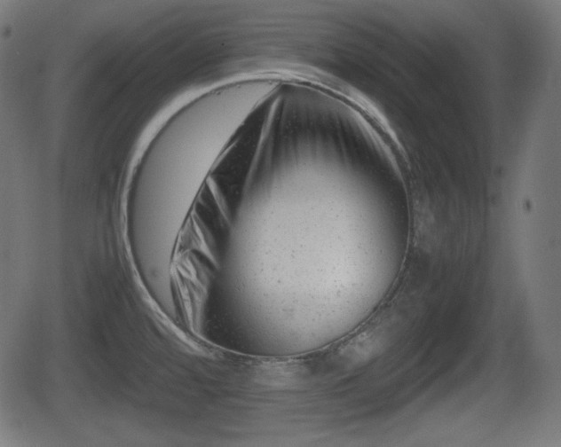 X0000062131480200512161139