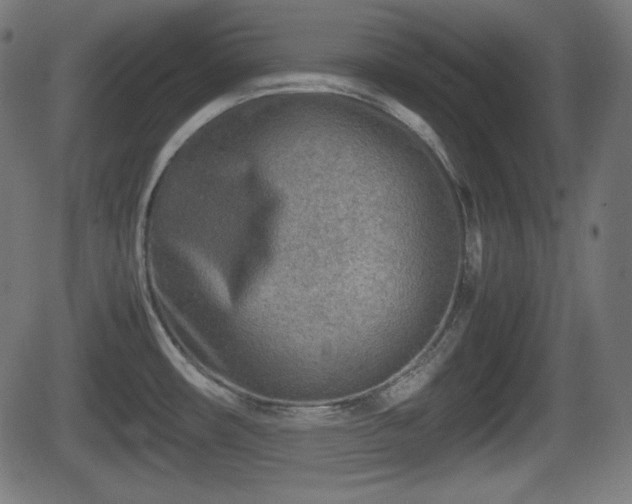 X0000062131482200512161139