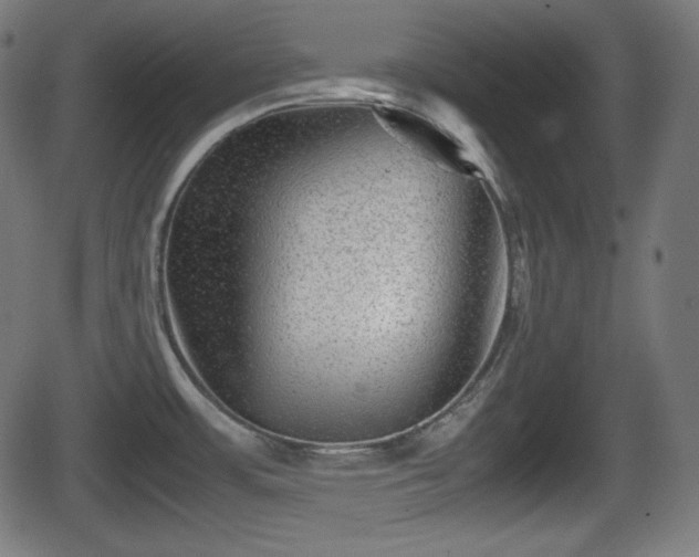 X0000062131483200512161139