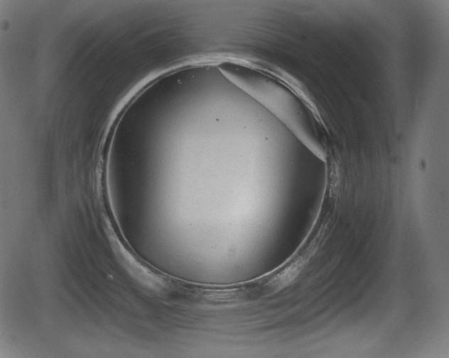 X0000062131484200512161139