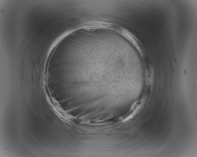 X0000062131485200512161139