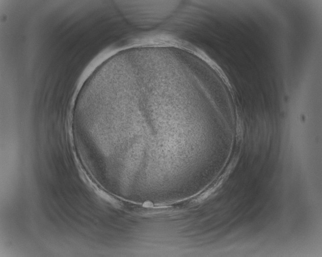 X0000062131486200512161139