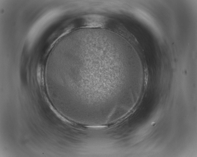 X0000062131487200512161139