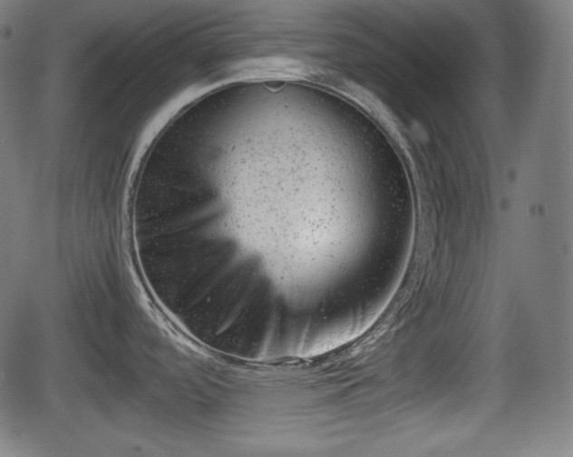 X0000062131488200512161139