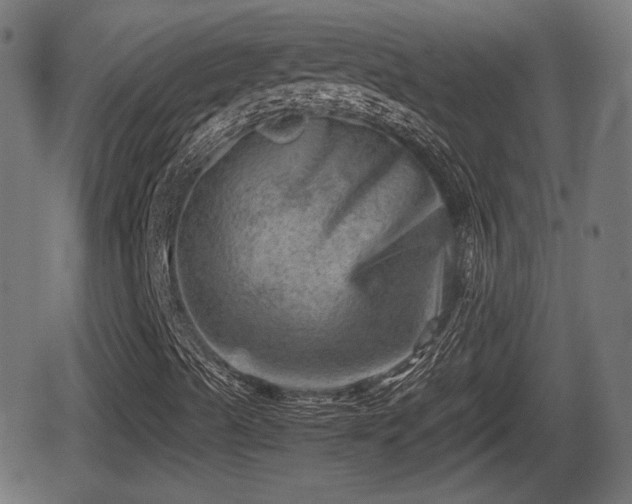 X0000062131489200512161138