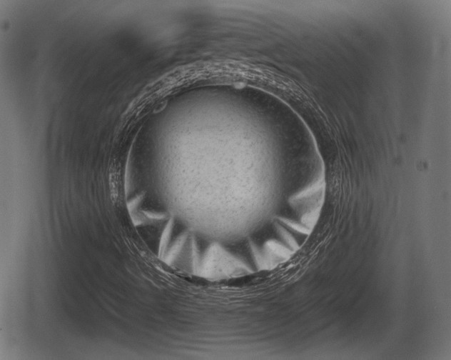 X0000062131490200512161138