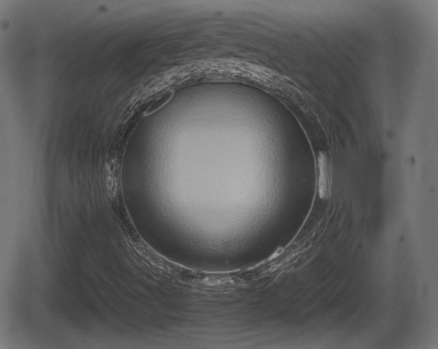 X0000062131491200512161138