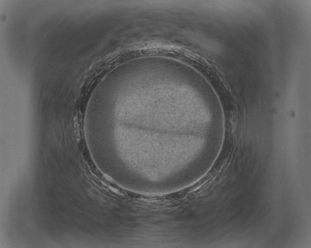 X0000062131493200512161138