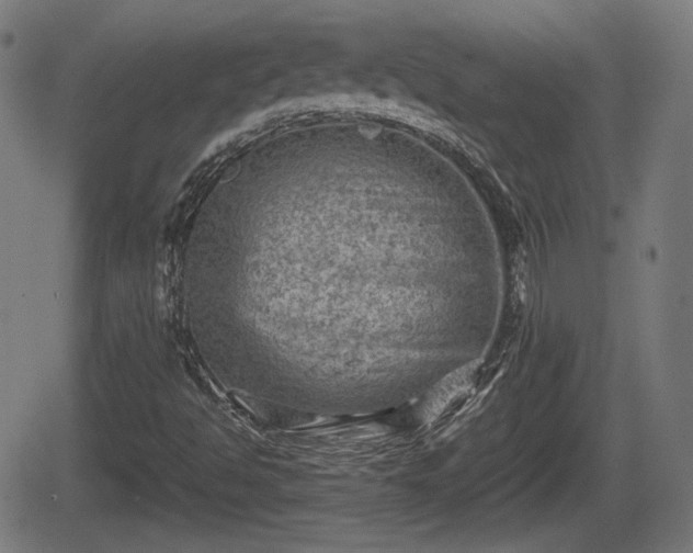 X0000062131494200512161138