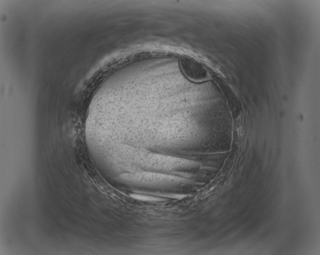 X0000062131495200512161138