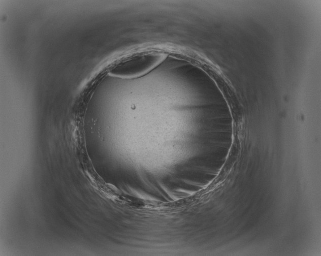 X0000062131496200512161138