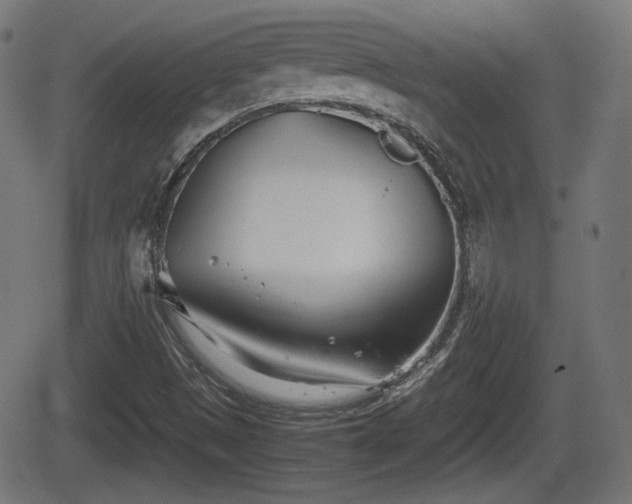 X0000062131497200512161138