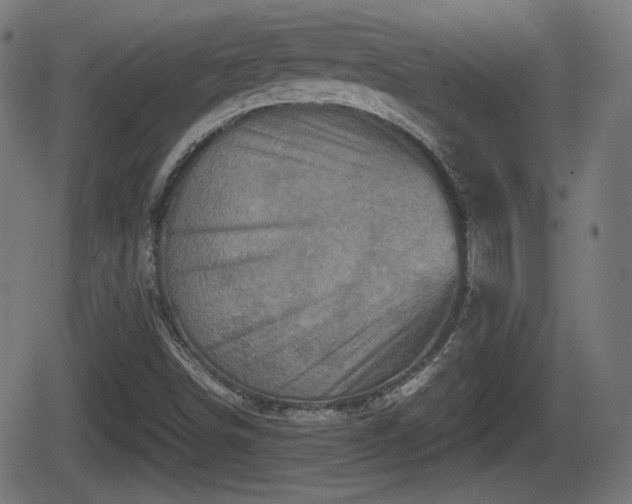 X0000062131498200512161138