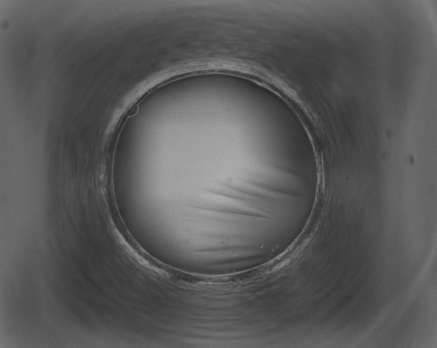 X0000062131500200512161138