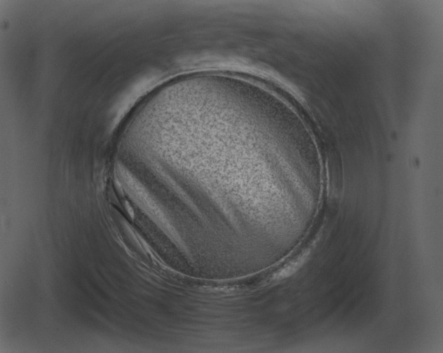 X0000062131501200512161138