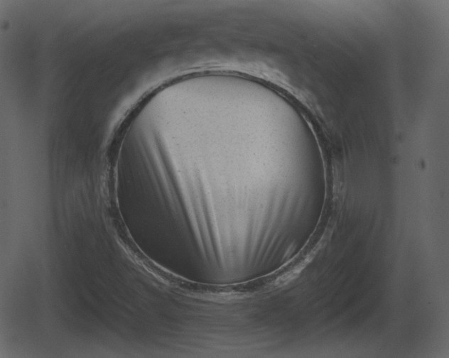 X0000062131502200512161138