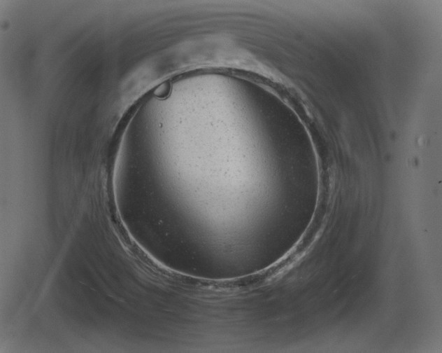 X0000062131505200512161138