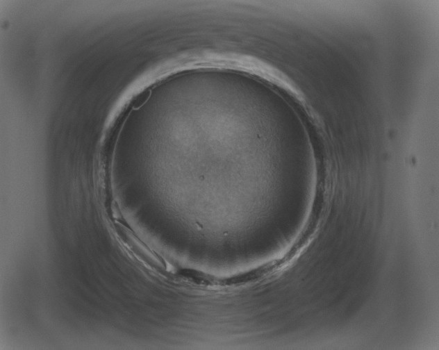 X0000062131506200512161138