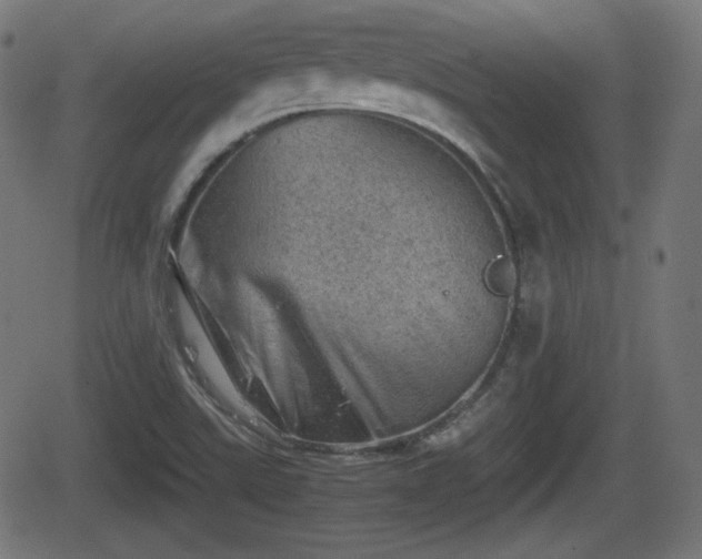 X0000062131507200512161138