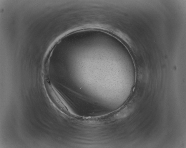 X0000062131508200512161138