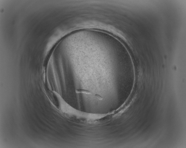 X0000062131509200512161138